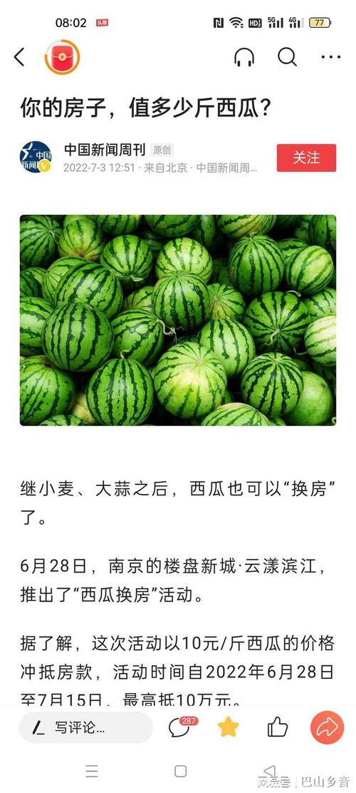 10元吃瓜,探索美食与实惠的完美结合