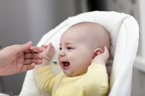俄罗斯婴儿吃瓜,瓜果盛宴中的甜蜜童年
