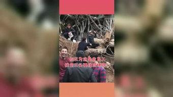 吃瓜星球投稿,一场星际美食盛宴的幕后故事