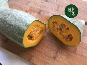 吃瓜连皮都吃,连皮同食，揭秘吃瓜新风尚