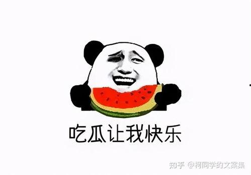 吃瓜群众高清壁纸,带你领略网络热词的魅力