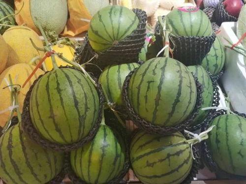 小凉吃瓜,揭秘娱乐圈那些不为人知的幕后故事