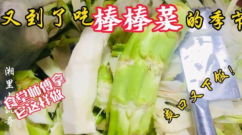 郯城教师吃瓜,一场校园风波背后的真相与反思